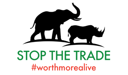 KWS Stop The Trade