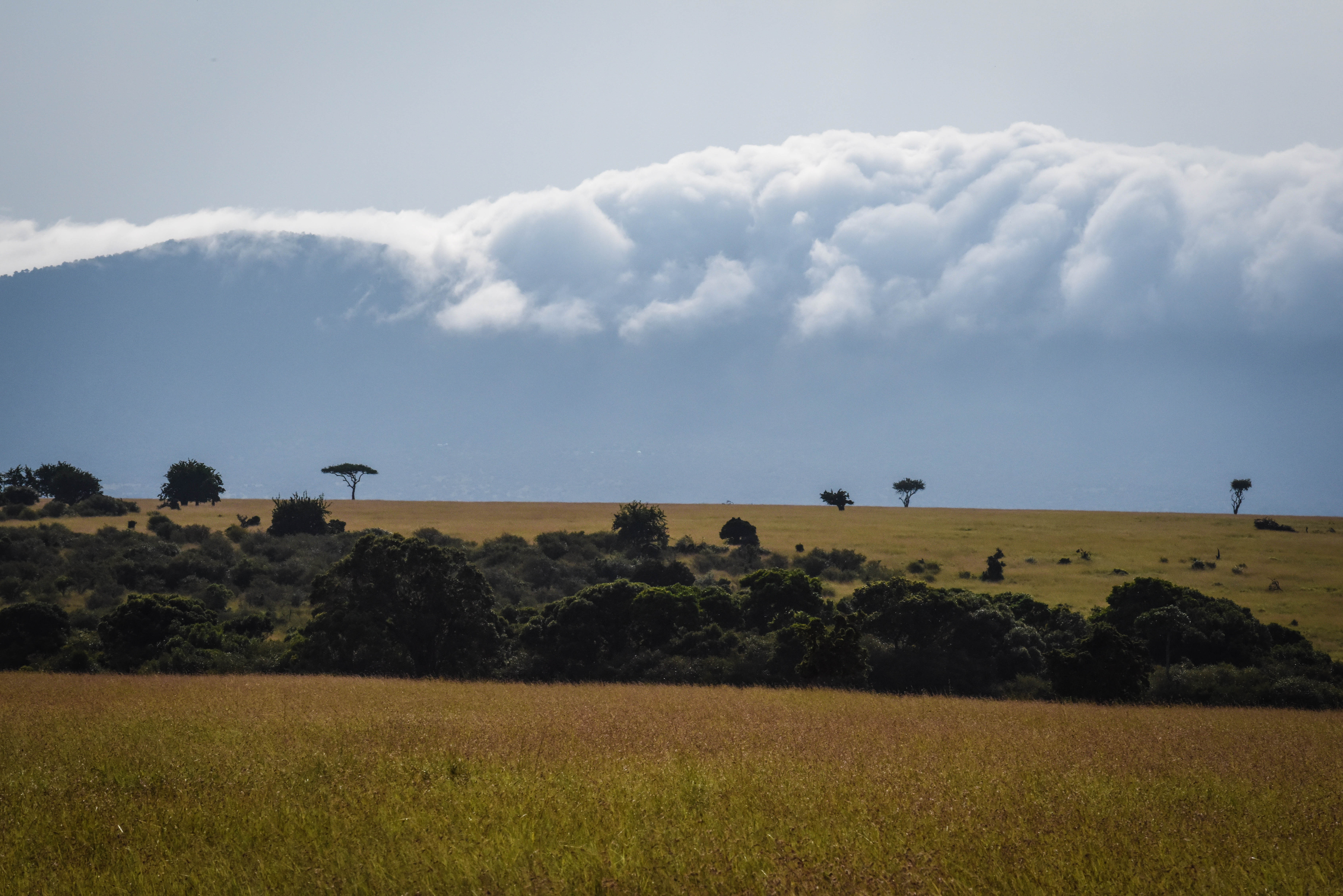 Mara Landscape 