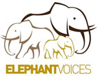 Elephant Voices Logo 