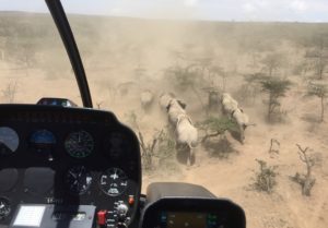 Pushing Herd to Safety