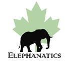 Elephanatics